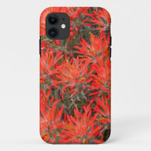Wyoming, Lincoln County, Desert Paintbrush iPhone 11 Case