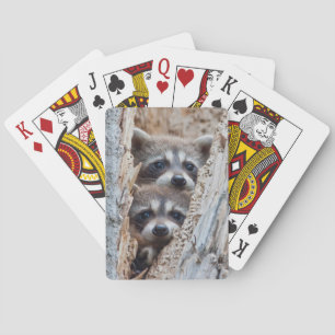 Wyoming, Lincoln County, Raccoon Playing Cards