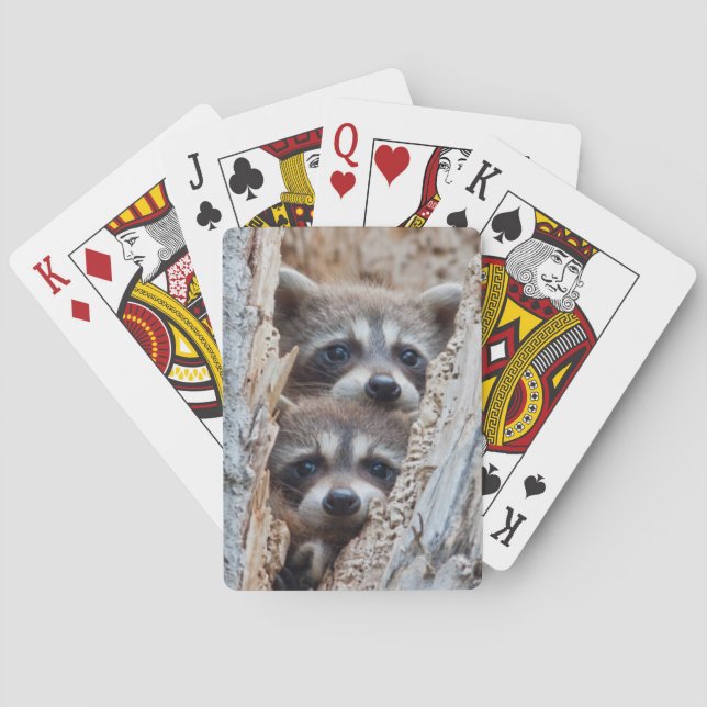 Wyoming, Lincoln County, Raccoon Playing Cards (Back)