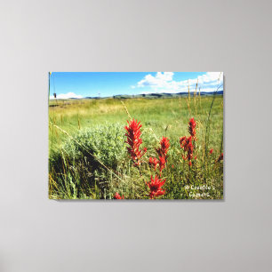 Wyoming Meadow in Summer2 Canvas Print
