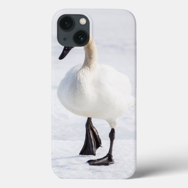 Wyoming, National Elk Refuge, Trumpeter Swan Case-Mate iPhone Case (Back)