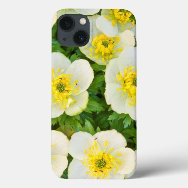 Wyoming, Sublette County, Close-up of a group Case-Mate iPhone Case (Back)