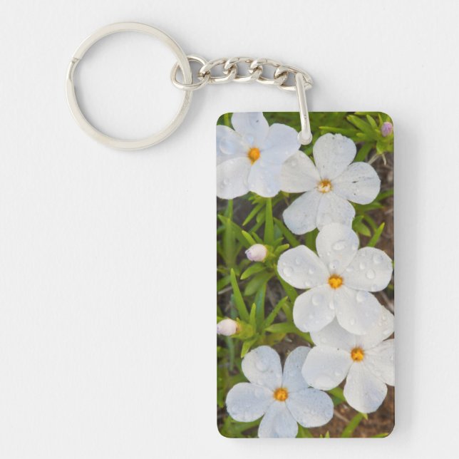 Wyoming, Sublette County, Close-up of Phlox Keychain (Front)
