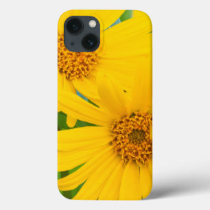 Wyoming, Sublette County, Close-up of two Arrow iPhone 13 Case