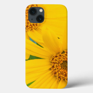 Wyoming, Sublette County, Close-up of two Arrow iPhone 13 Case