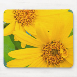 Wyoming, Sublette County, Close-up of two Arrow Mouse Pad