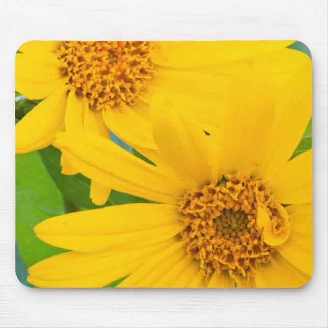 Wyoming, Sublette County, Close-up of two Arrow Mouse Pad (Front)