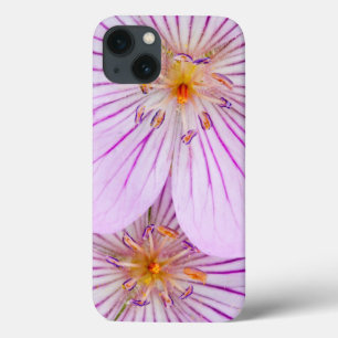 Wyoming, Sublette County, Close-up of two Sticky iPhone 13 Case