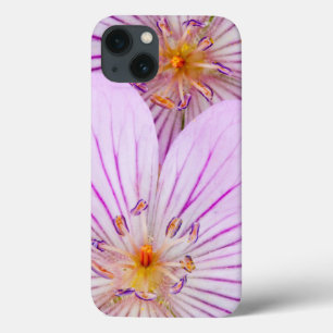 Wyoming, Sublette County, Close-up of two Sticky iPhone 13 Case