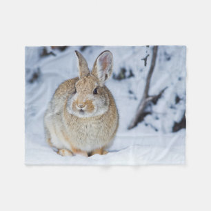 Wyoming, Sublette County, Nuttall's Cottontail Fleece Blanket