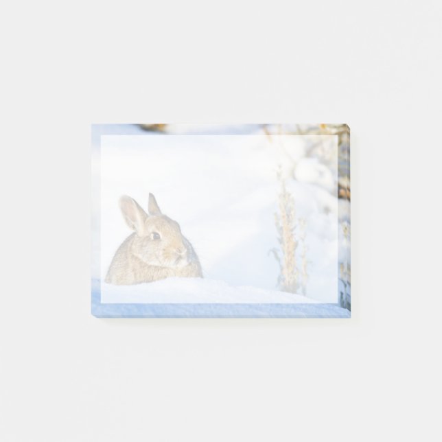 Wyoming, Sublette County, Nuttall's Cottontail Post-it Notes (Front)