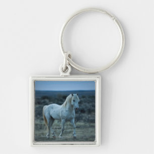 wyoming, united states of america keychain