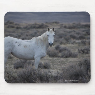 wyoming, united states of america mouse pad