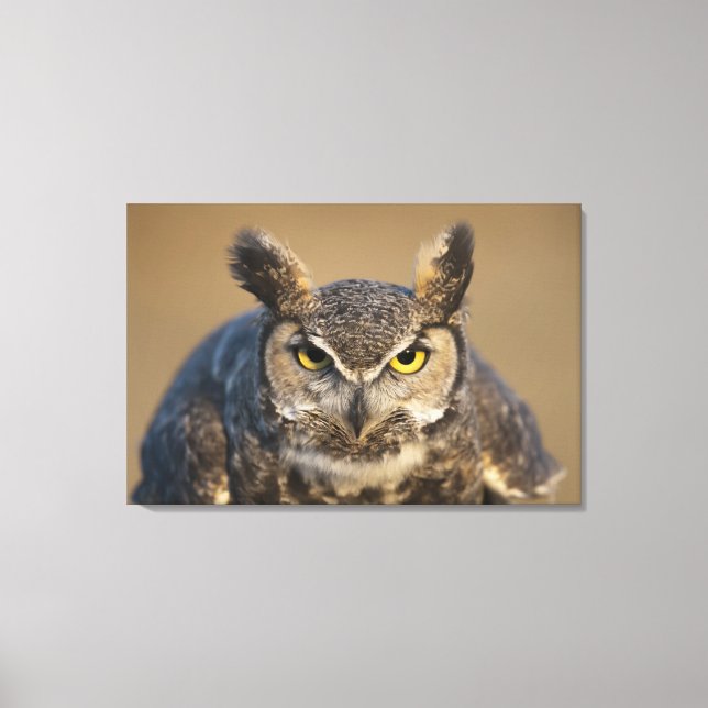 wyoming, usa canvas print (Front)