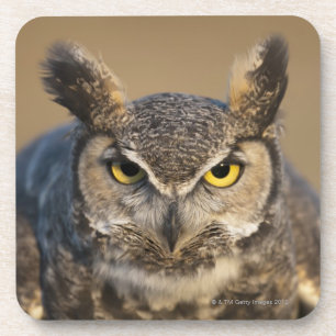 wyoming, usa coaster