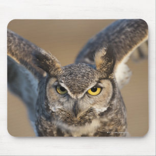 Wyoming, USA Mouse Pad