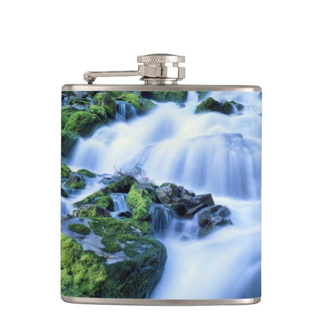 Wyoming. USA. Periodic Spring during period of Hip Flask (Front)