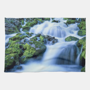 Wyoming. USA. Periodic Spring during period of Kitchen Towel