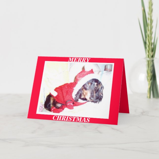 X CARTES DE NOËL DE MAS - CHIOT DE HEIDI - (Devant)