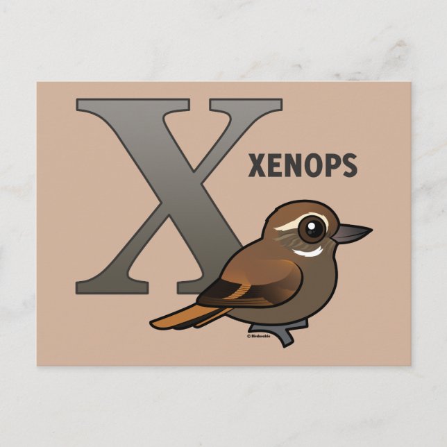 X is for Xenops Postcard (Front)