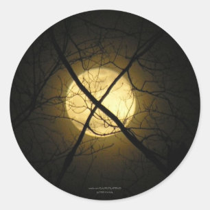 X MARKS THE SPOT CLASSIC ROUND STICKER