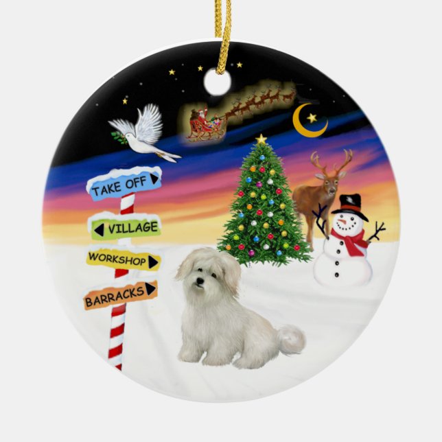 X Mas Signs- Coton de Tulear Ceramic Ornament (Front)