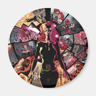 X-Men   Classic Dark Phoenix Magnet