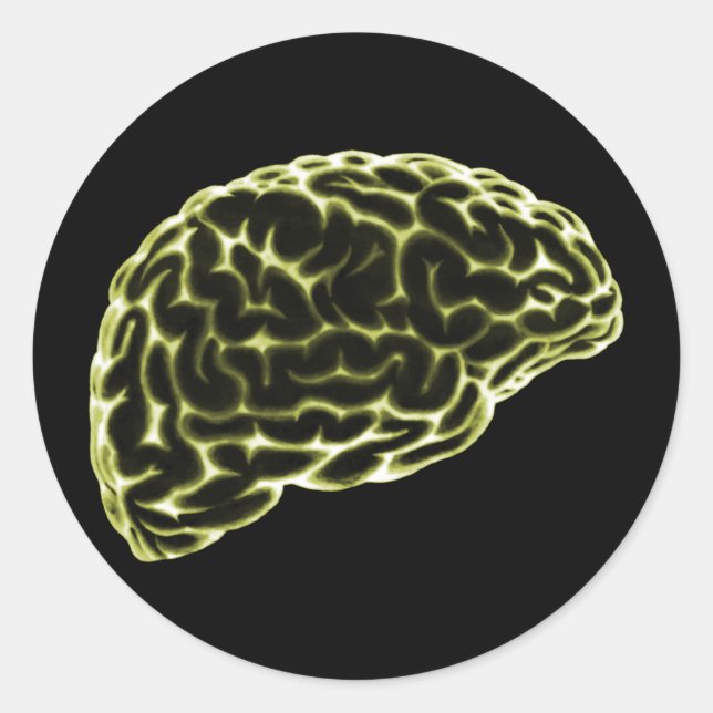 X-RAY BRAIN SIDE VIEW YELLOW CLASSIC ROUND STICKER (Front)