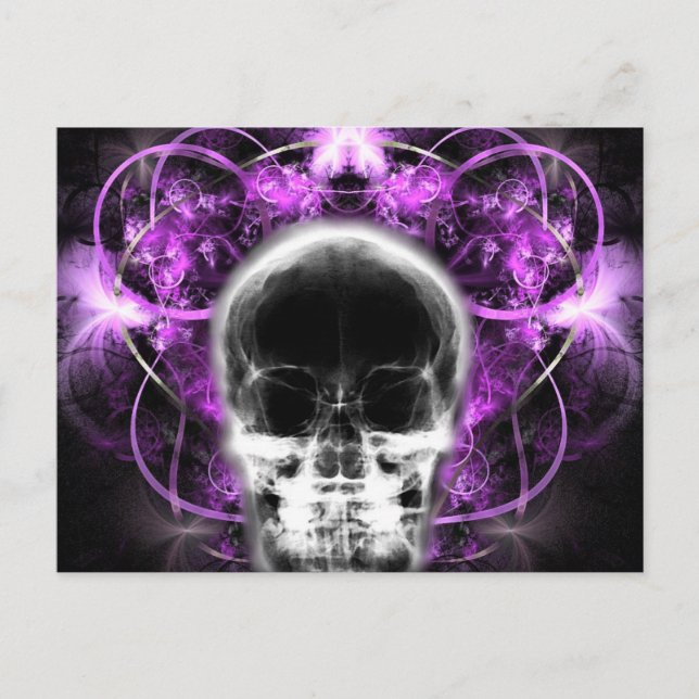  X-Ray Butterfly Fractal Skull - Fuchsia Postcard (Front)
