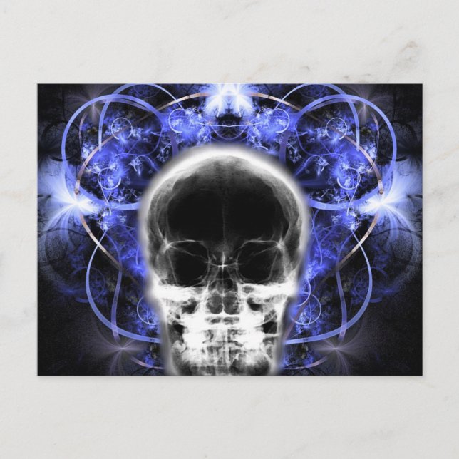  X-Ray Butterfly Fractal Skull - Indigo  Postcard (Front)