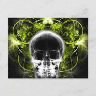 X-Ray Butterfly Fractal Skull - Lime Green Postcard