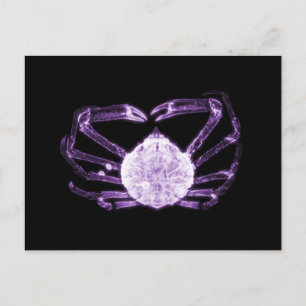 X-Ray Crab Postcard