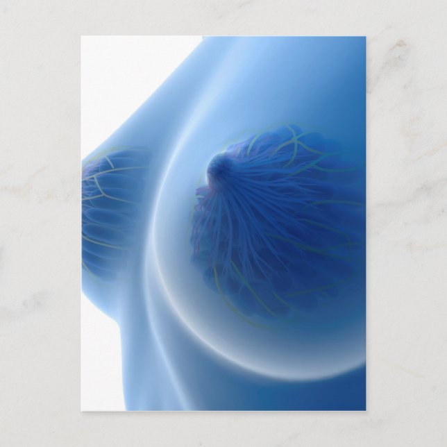 X-Ray Image Of Female Breast Anatomy Postcard (Front)