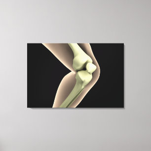 X-Ray Image Of Knee 2 Canvas Print