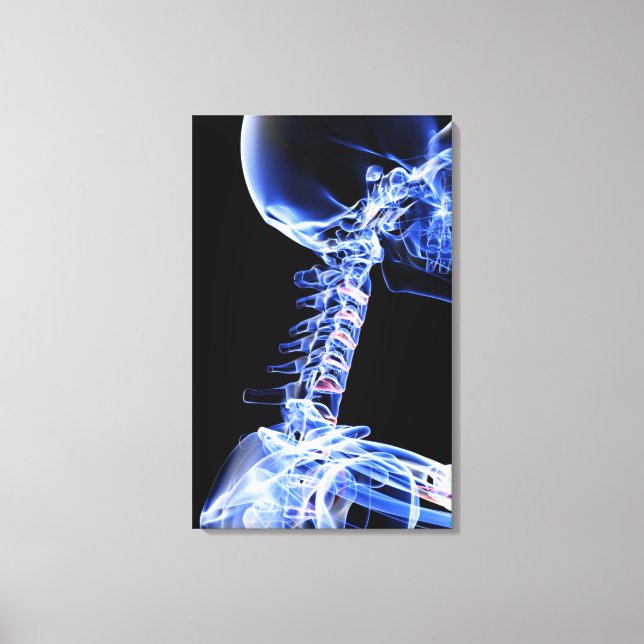 X-ray image of the bones of the neck canvas print (Front)