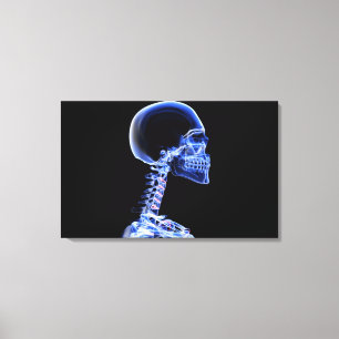 X-ray of the bones in the neck canvas print