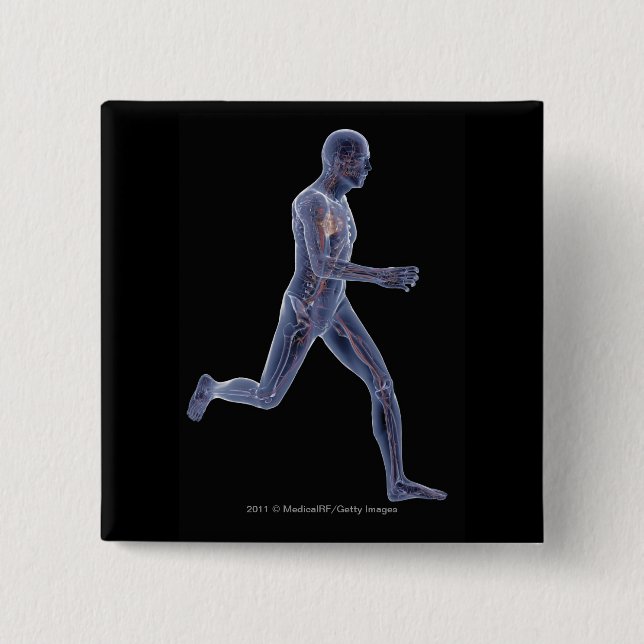 X-ray of the vascular system in a running man 2 inch square button (Front)