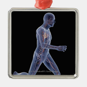 X-ray of the vascular system in a running man metal ornament