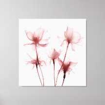 X-ray Pink Carnation Flowers