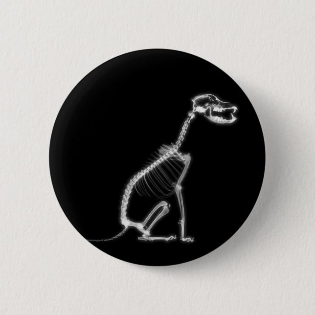 X-RAY PUPPY DOG SKELETON SITTING - B&W 2 INCH ROUND BUTTON (Front)