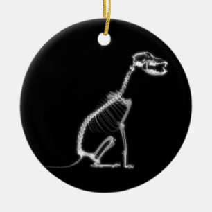 X-RAY PUPPY DOG SKELETON SITTING - B&W CERAMIC ORNAMENT