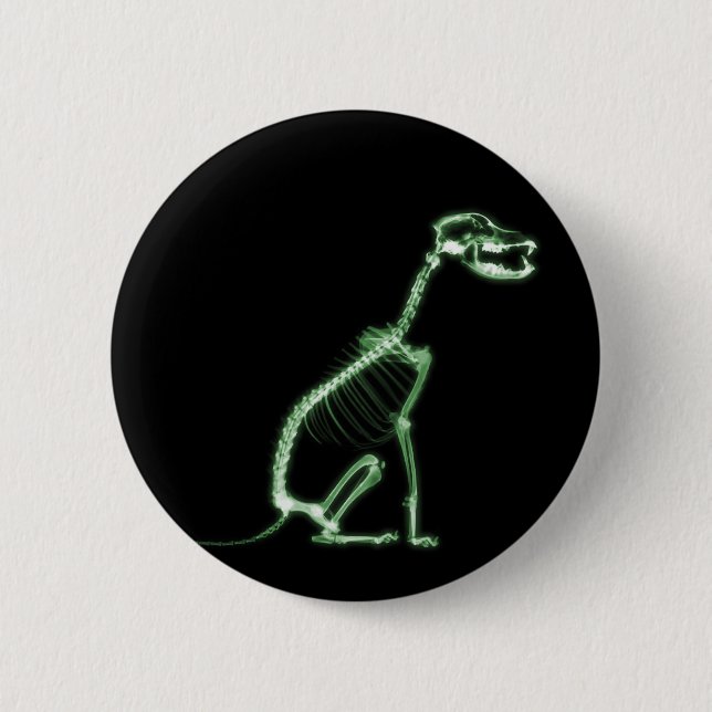 X-RAY PUPPY DOG SKELETON SITTING - GREEN 2 INCH ROUND BUTTON (Front)