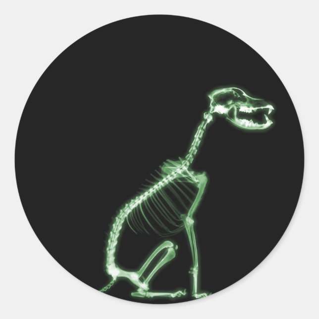 X-RAY PUPPY DOG SKELETON SITTING - GREEN CLASSIC ROUND STICKER (Front)