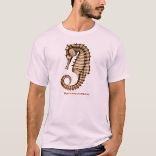 X-Ray Sea horse Hippocampus erectus Front/Back T-Shirt