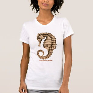 X-Ray Sea horse Hippocampus erectus Full Front T-Shirt