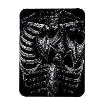 X-Ray skeleton body with bat