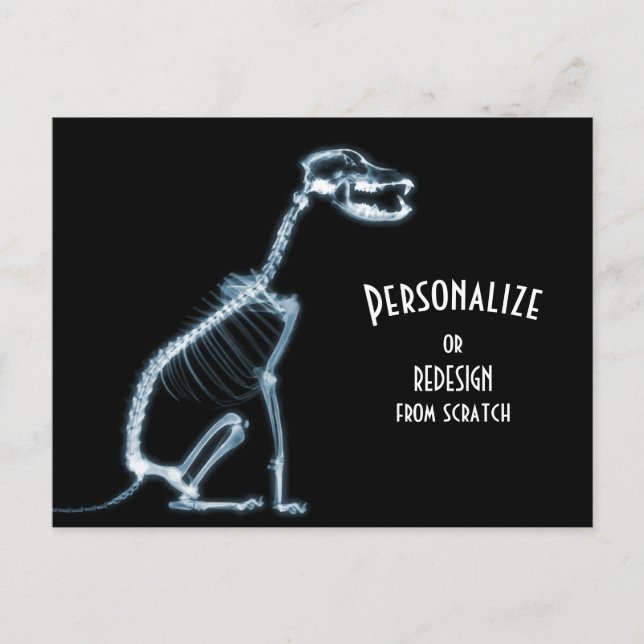 X-Ray Skeleton Dog - Blue Postcard (Front)