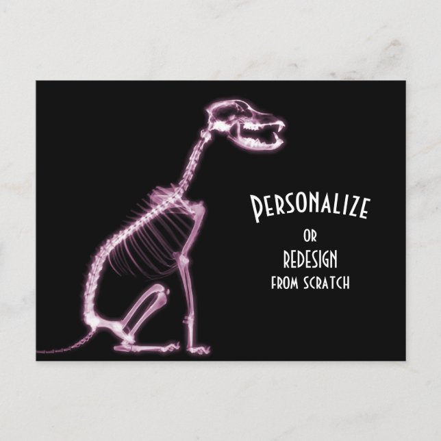 X-Ray Skeleton Dog - Pink Postcard (Front)