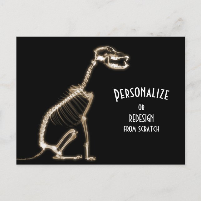 X-Ray Skeleton Dog - Sepia Postcard (Front)