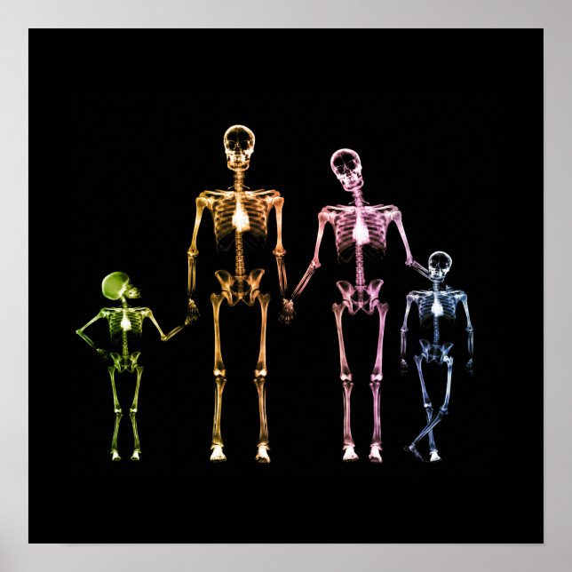 X-Ray Skeleton Family - Multicolor 4 Poster (Front)